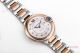 New 2024 Swiss Made Cartier new Ballon Bleu 33mm 2-T Rose Gold Silver Dial (3)_th.jpg